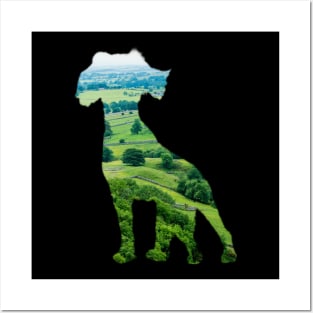 A Yorkshire Spaniel Posters and Art